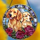 Dog/Typ3